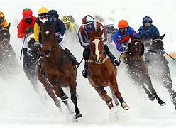 Image result for Horse Racing at Night