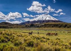 Image result for cotopaxi