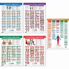 Trigger Point Charts 5 Chart Set Kent Health Systems