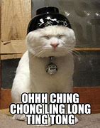 Image result for Ching Chong Cat Meme