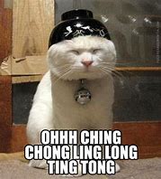 Image result for Ching Chong Cat Meme