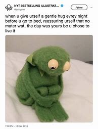 Image result for Funny Kermit Memes Clean
