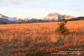 Image result for Great Plains and Rockies