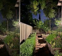 Image result for Picture of iPhone 11 Night Mode