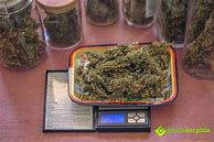 Image result for 28 Grams to Ounces