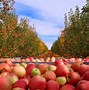 Image result for Apple Hill Care Home