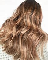 Image result for Champagne Brown Hair Color