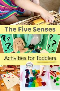 Image result for 5 Senses Toddler Activities