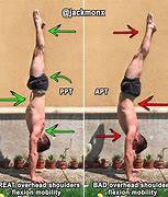 Image result for Handstand Push-Up Progression