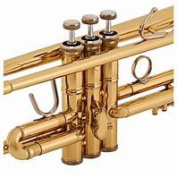Image result for Trumpet Lead Pipe