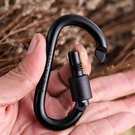 Image result for Locking Carabiner in Camping