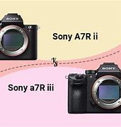 Image result for Sony Full Frame Mirrorless Camera