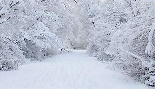 Image result for Photos of a Snow Storm