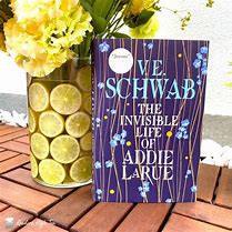Image result for The Invisible Life of Addie LaRue Book Box