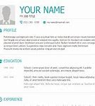 Image result for Basic Resume Samples