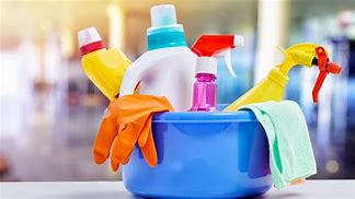 Image result for Cleaning Supplies to Clean House