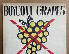 Image result for Cesar Chavez Grape Boycott