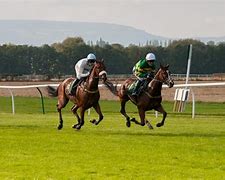 Image result for Spring Horse Racing