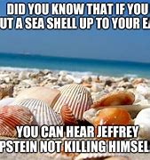 Image result for Wipe with Seashells Meme