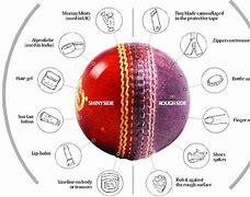 Image result for Side Spin Cricket