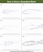 Image result for Greenland Shark Drawing