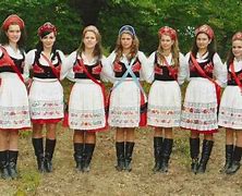 Image result for Szekely Magyar