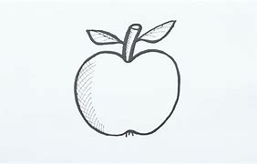 Image result for Apple Drawing Sketching
