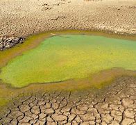 Image result for Picture Demonstrating Water Pollution