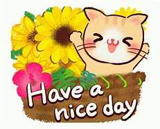 Image result for Have a Nice Day Album GIF