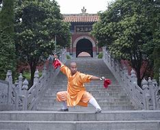 Image result for The Seven Kung Fu Styles