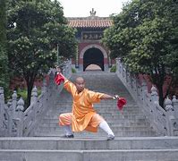 Image result for Wudang Kung Fu