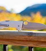 Image result for Rostfrei Stainless Steel Military Pocket Knife
