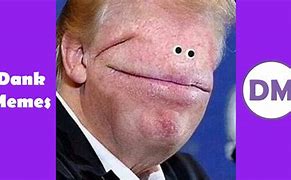 Image result for Cow Face Meme