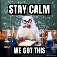 Image result for Meme That Make You Calm