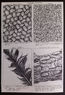 Image result for Easy Texture Drawings