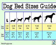 Image result for Dog Bed Size Chart