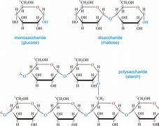 Image result for Apple Carbohydrates Structure