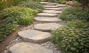 Image result for Sepping Stones
