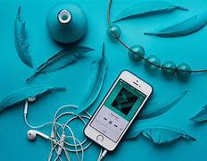 Image result for Funny Photo EarPods