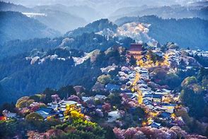 Image result for Japan Landscape Panorama