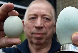 Image result for Who Is the Biggest Egg in the World 10th