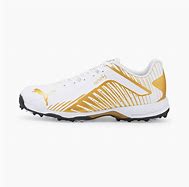 Image result for Puma Cricket Shoes without Spikes