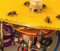 Image result for Robot Bees