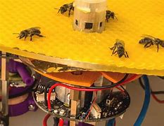 Image result for Robot Bees