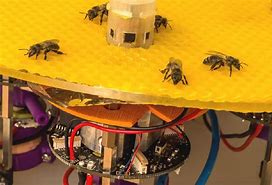 Image result for Ai Bee Robot
