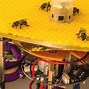 Image result for Bee Robot by Otsumegaplus