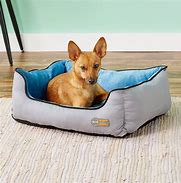 Image result for Warm Dog Beds