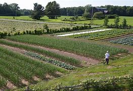 Image result for 1 Acre Farming