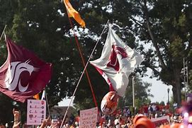 Image result for College Gameday Flags