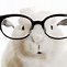 Image result for Animal in Three D Glasses